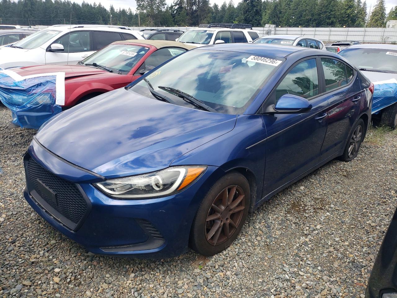 2017 HYUNDAI ELANTRA — VIN 5NPD84LF2HH116879 — Copart photograph