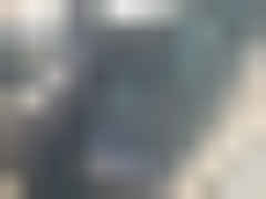2025 TESLA MODEL 3, VIN 5YJ3E1EA6SF973832 — Photo 11