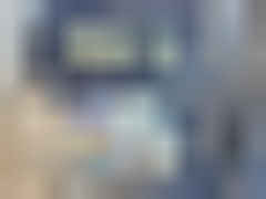 2025 CHEVROLET SILVERADO, VIN 1GC4KVEY2SF172666 — Photo 10