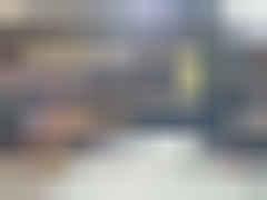 2025 CHEVROLET SILVERADO, VIN 1GC4KVEY2SF172666 — Photo 9
