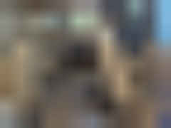 2025 CHEVROLET SILVERADO, VIN 3GCUKDE84SG206065 — Photo 10
