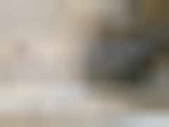 2025 CHEVROLET SILVERADO, VIN 1GC4KME78SF293185 — Photo 12