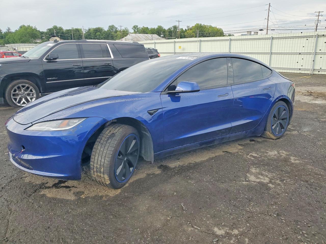 2025 TESLA MODEL 3 — VIN 5YJ3E1EA2SF973973 — Copart photograph