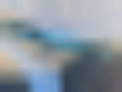 2025 CHEVROLET MALIBU, VIN 1G1ZD5ST7SF127627 — Photo 12