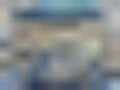 2025 FORD F150, VIN 1FTFW6LD0SFB46831 — Photo 11