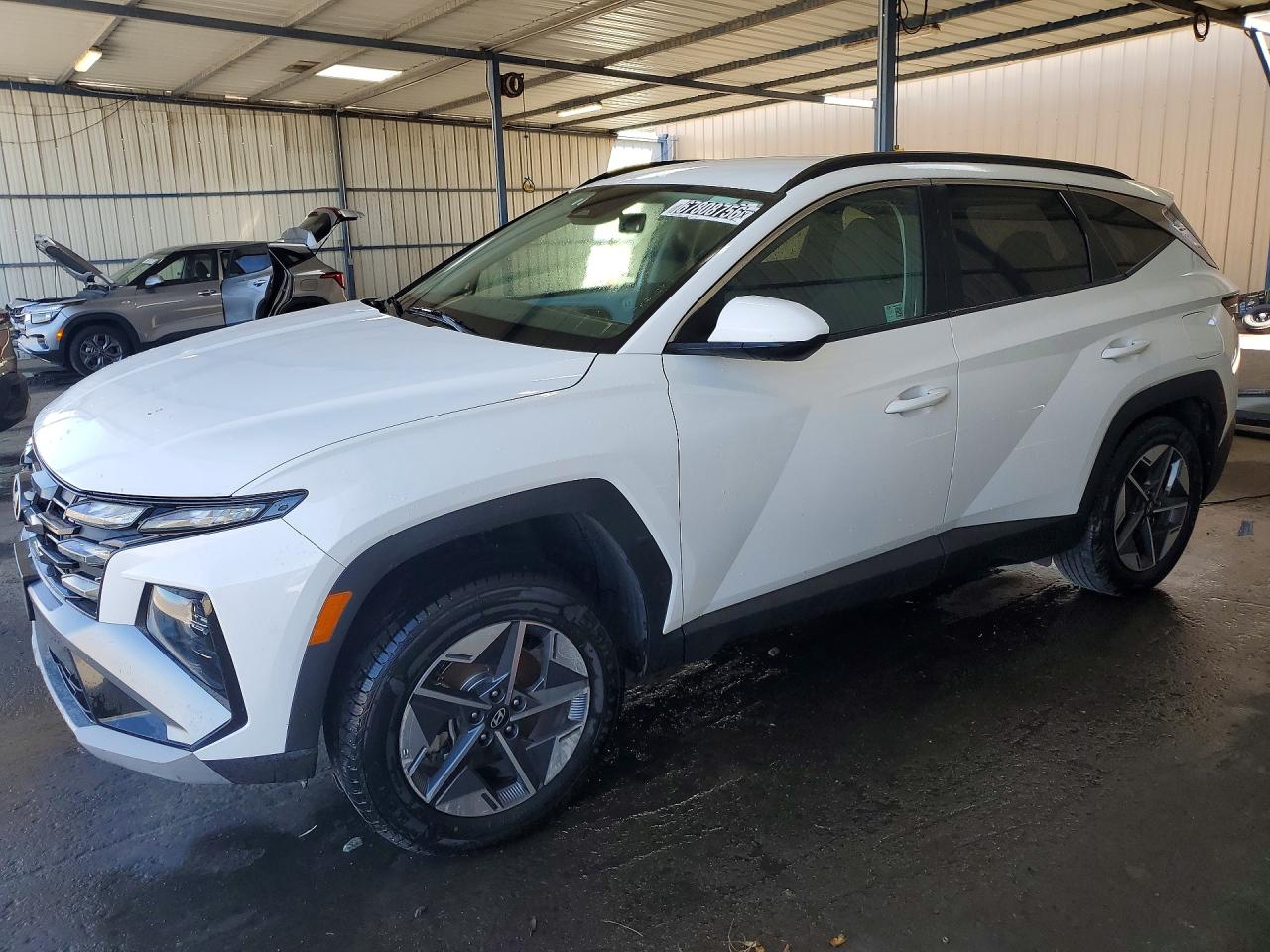 2025 HYUNDAI TUCSON — VIN 5NMJB3DE7SH467165 — Copart photograph