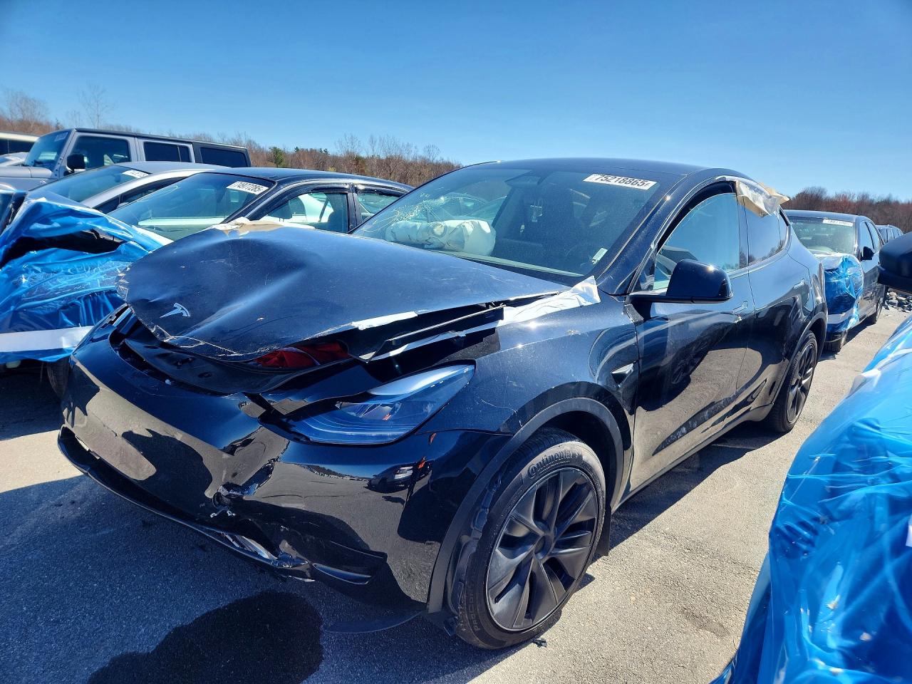 2025 TESLA MODEL Y — VIN 7SAYGDEE5SF247578 — Copart photograph